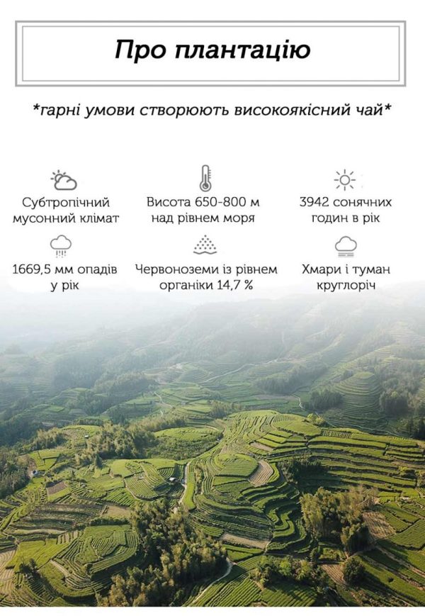 Лао Бай Му Дань Лі Да Єдине Дао 2014 р. - 350 г - Зображення 4
