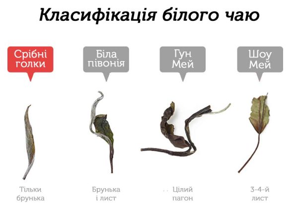 Бай Хао Інь Чжень Лі Да 2019 р. - 350 г - Зображення 3