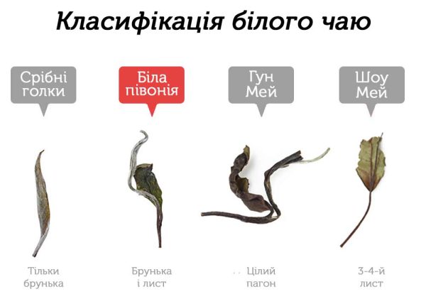 Лао Бай Му Дань Лі Да Єдине Дао 2014 р. - 350 г - Зображення 3