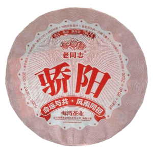 Шу Пуер Хайвань Спекотне сонце 2020 р. - млинець